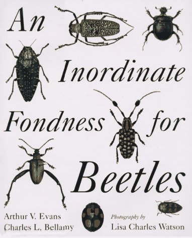 Arthur V. Evans Inordinate Fondness For Beetles 