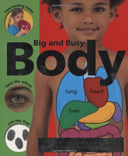 Priddy Books Big And Busy Body 