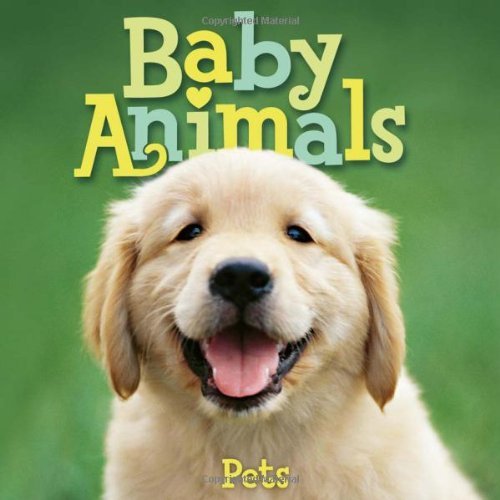 Various Baby Animals Pets 