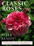 Peter Beale Classic Roses 
