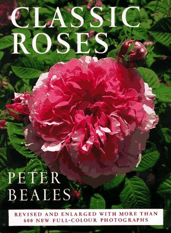Peter Beale Classic Roses 