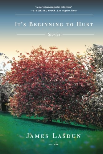 James Lasdun/It's Beginning to Hurt