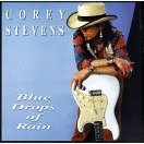 STEVENS,COREY & TEXAS FLOOD/BLUE DROPS OF RAIN
