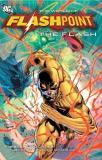 Sean Ryan Flashpoint World Of Flashpoint The Flash Tp 