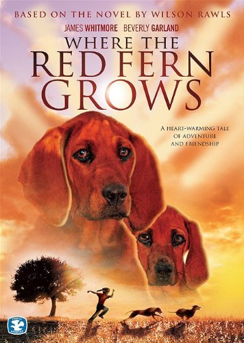 Bridgestone Multimedia Group/Where The Red Fern Grows