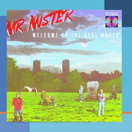 Mr. Mister/Welcome To The Real World@This Item Is Made On Demand@Could Take 2-3 Weeks For Delivery