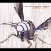 Animal Liberation Orchestra/Fly Between Walls@Feat. Jack Johnson