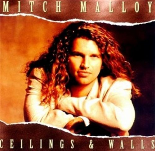 Malloymitch/Ceilings & Walls