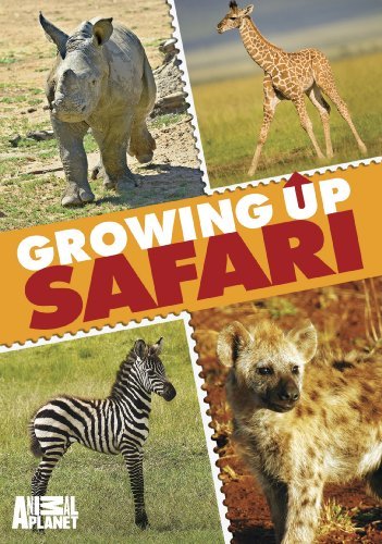 Growing Up Safari Growing Up Safari Tvg 