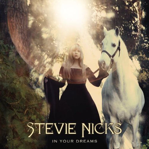 Stevie Nicks In Your Dreams 