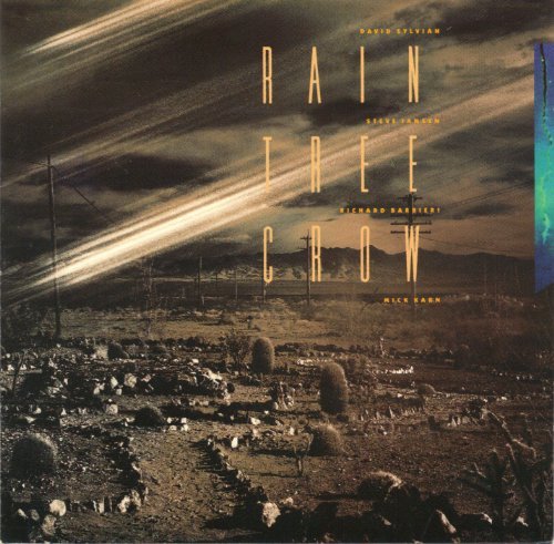 Raintree Crow/Raintree Crow