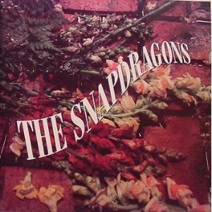 Snapdragons/Snapdragons