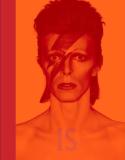 Victoria Broackes David Bowie Is... 