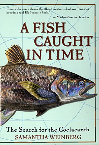 Samantha Weinberg/A Fish Caught in Time