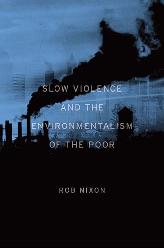 Rob Nixon Slow Violence And The Environmentalism Of The Poor 