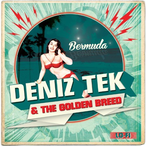 Deniz Tek/Bermuda@7 Inch Single