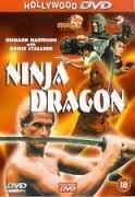 Ninja Dragon/Ninja Dragon@Clr@Nr