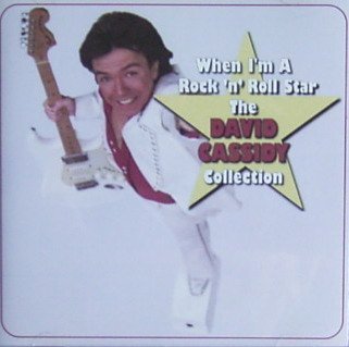 David Cassidy/When I'M A Rock N Roll Star