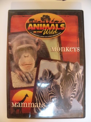 Animals In The Wild: Monkeys & Mammals/Animals In The Wild: Monkeys & Mammals