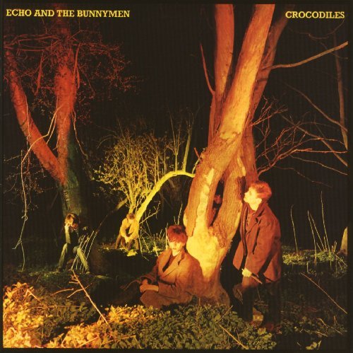 Echo & The Bunnymen/Crocodiles