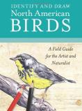 Amy Root Identify And Draw North American Birds A Field Guide For The Artist And Naturalist 