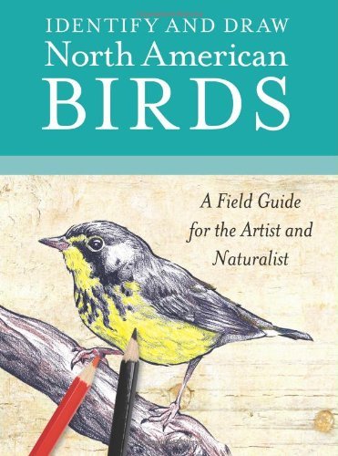 Amy Root Identify And Draw North American Birds A Field Guide For The Artist And Naturalist 