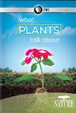 What Plants Talk About Nature Nr 