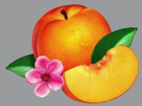 Phoenix/Bankrupt!@Import-Gbr