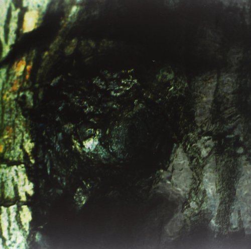 Yann Tiersen/Waltz Of The Monsters@Import-Gbr@LP
