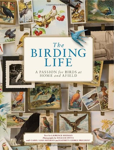 Laurence Sheehan The Birding Life A Passion For Birds At Home And Afield 