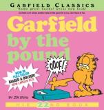 Jim Davis Garfield By The Pound 