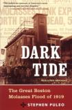 Stephen Puleo Dark Tide 