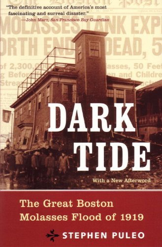 Stephen Puleo Dark Tide 