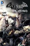 Derek Fridolfs Batman Arkham Unhinged Vol. 2 