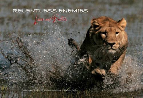 Dereck Joubert Relentless Enemies Lions And Buffalo 