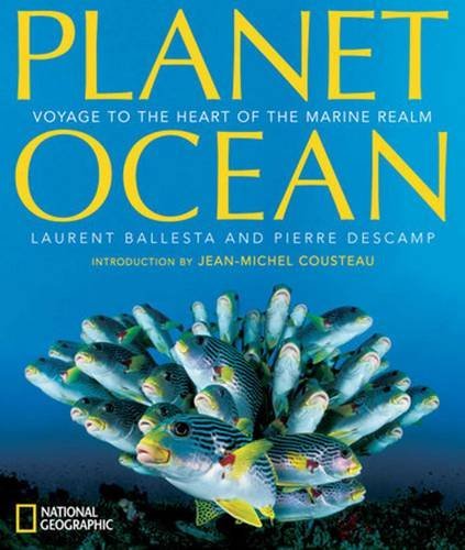 Laurent Ballesta Planet Ocean Voyage To The Heart Of The Marine Realm 