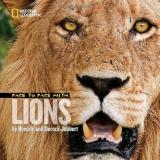 Beverly Joubert Face To Face With Lions 
