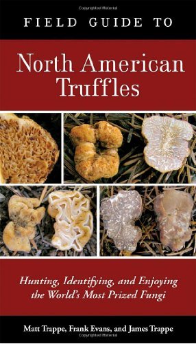 Matt Trappe Field Guide To North American Truffles Hunting Identifying And Enjoying The World's Mo 