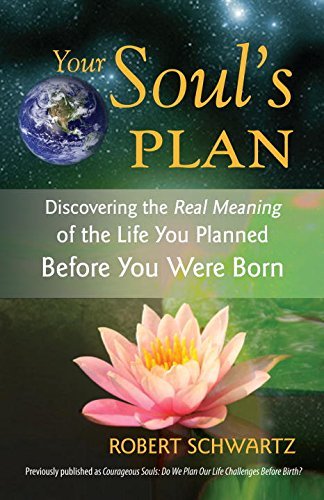 Robert Schwartz Your Soul's Plan Discovering The Real Meaning Of The Life You Plan 