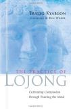 Traleg Kyabgon The Practice Of Lojong Cultivating Compassion Through Training The Mind 