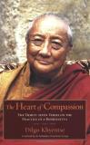 Dilgo Khyentse The Heart Of Compassion The Thirty Seven Verses On The Practice Of A Bodh 