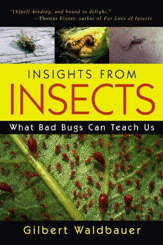 Gilbert Waldbauer Insights From Insects What Bad Bugs Can Teach Us 