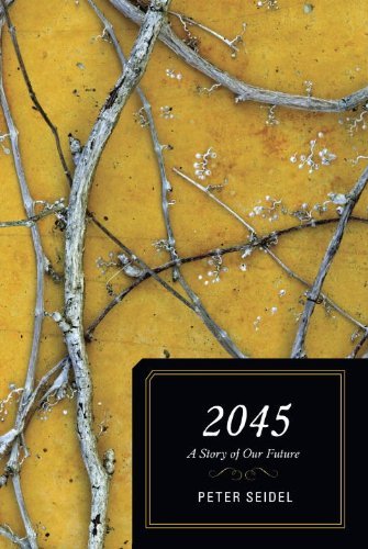 Peter Seidel 2045 A Story Of Our Future 