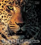 Christine Denis Huot Lords Of The Savannah The Leopards & Cheetahs 
