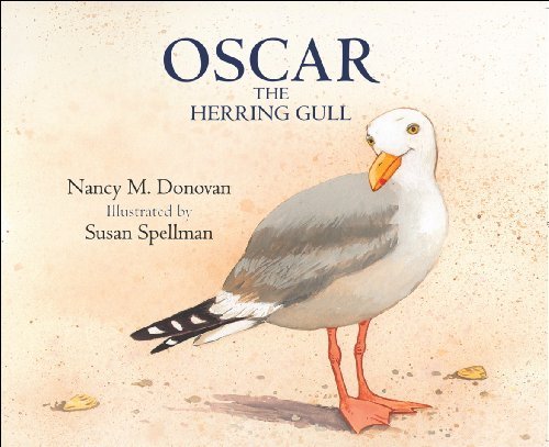 Nancy M. Donovan Oscar The Herring Gull 