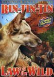 Rin Tin Tin Law Of The Wild Rin Tin Tin Walters Moore Bw Nr 