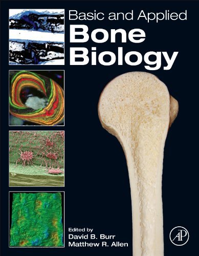 David B. Burr Basic And Applied Bone Biology 