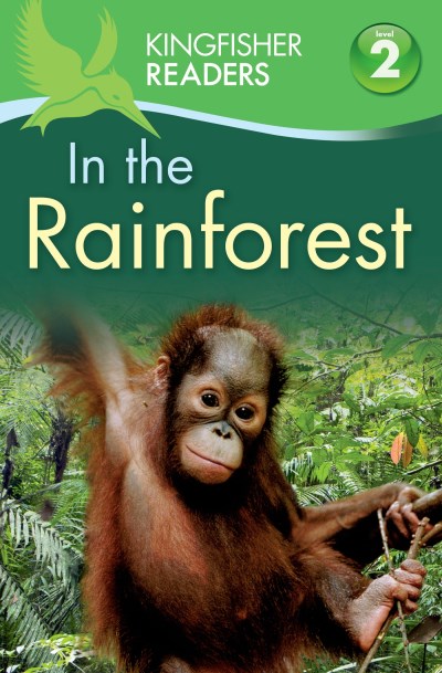 Claire Llewellyn In The Rainforest 