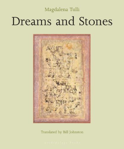 Magdalena Tulli Dreams And Stones 