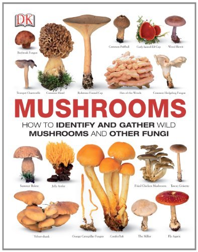 Dk/Mushrooms@ How to Identify and Gather Wild Mushrooms and Oth